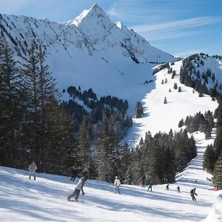 Les Cimes, Chaleureux Studio 4 Pers, 50M Du Telecabine, Vue Degagee Sur Les Pistes, Draps Non Compris Saint-Jean-d'Aulps Exterior photo